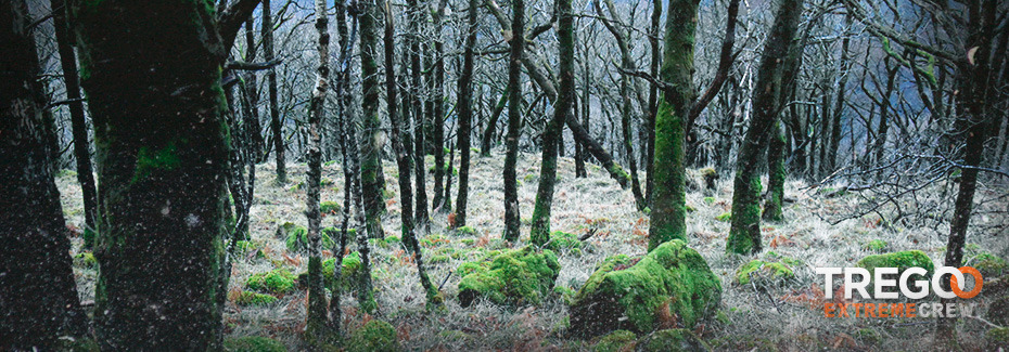 POST - gasca highlands wood 