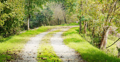 Diari Italiani - Sulle rive del Fiume